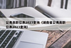 公务员职位表2023查询（湖南省公务员职位表2023查询）