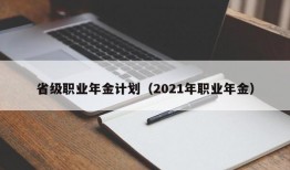 省级职业年金计划（2021年职业年金）